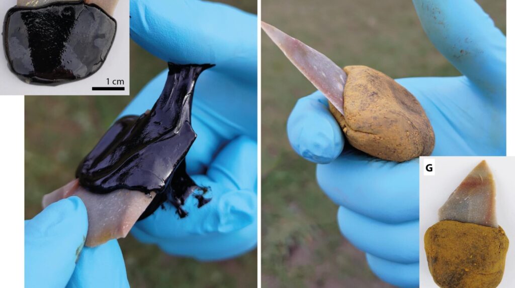 Photo: Schmidt et al., Science Advances 2023