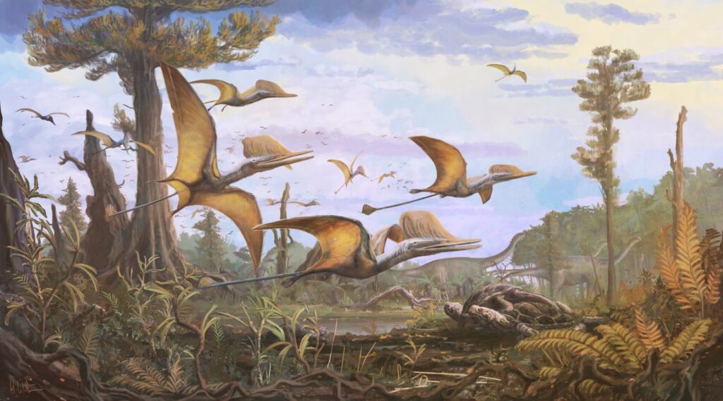 Illustration: © NHM & Witton 2021