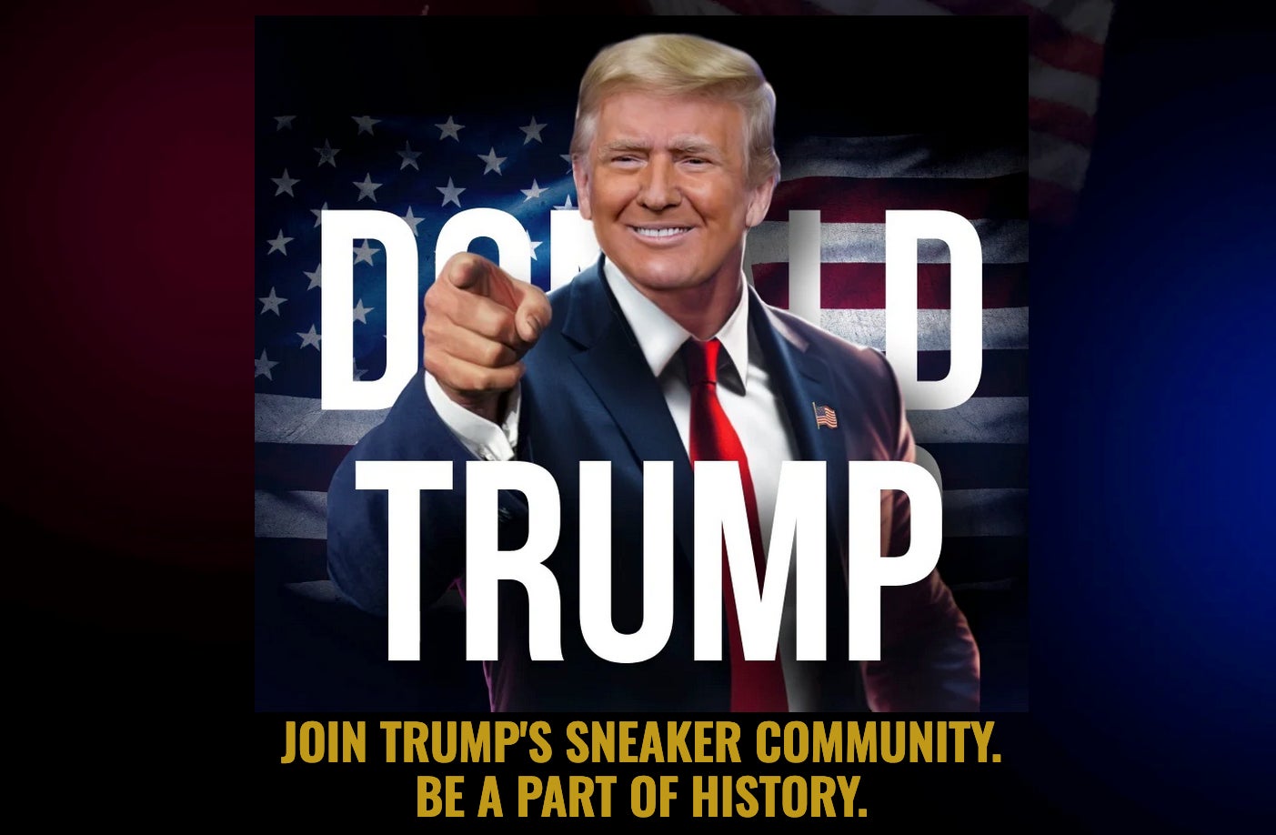 Screenshot: GetTrumpSneakers.com