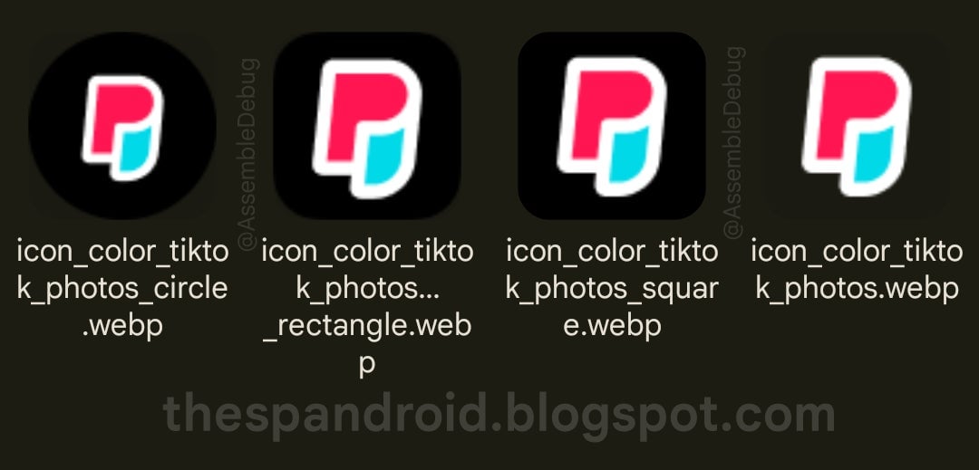 Los iconos para la aplicación TikTok Fotos encontradas por AssembleDebug.