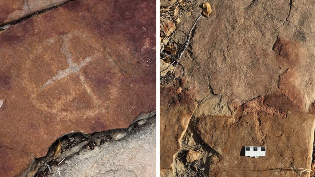 Photo: Troiano et al., Scientific Reports 2024