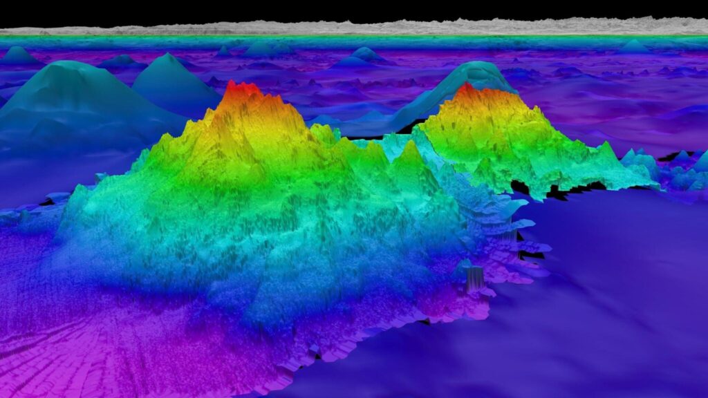 Image: Schmidt Ocean Insitute