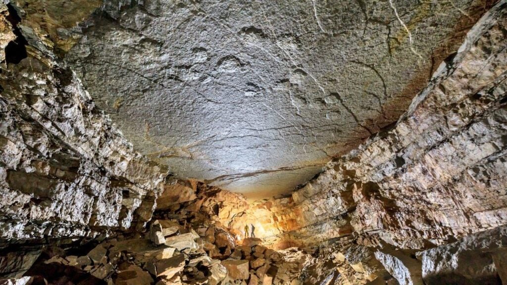 Photo: Rémi Flament / Journal of Vertebrate Paleontology