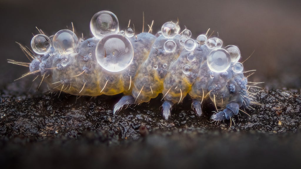Image: © Alexis Tinker-Tsavalas | cupoty.com