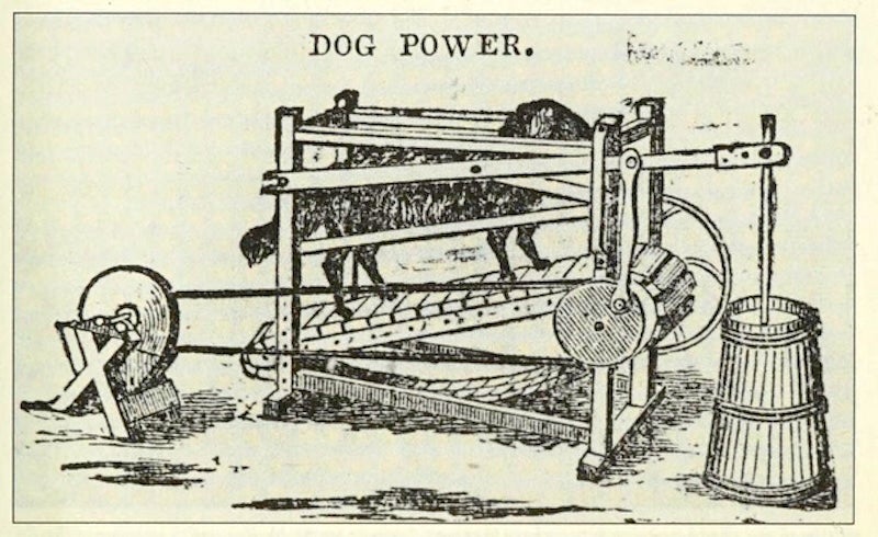 Anuncio de la década de 1850 que muestra una máquina batidora de mantequilla impulsada por un perro