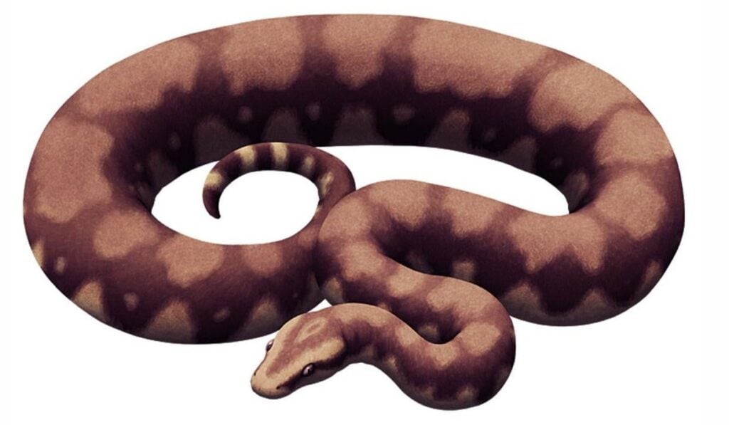 Illustration: S. Bajpai, modified from nixillustration.com