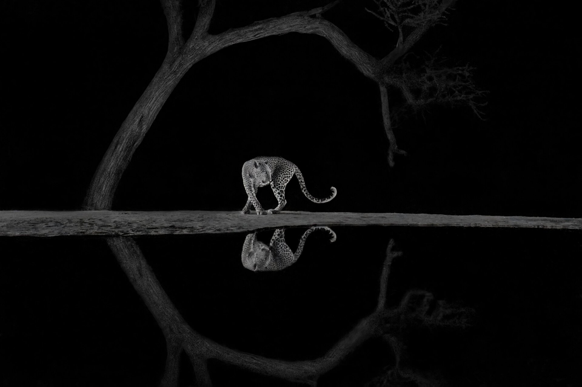 Photo: Richard Li