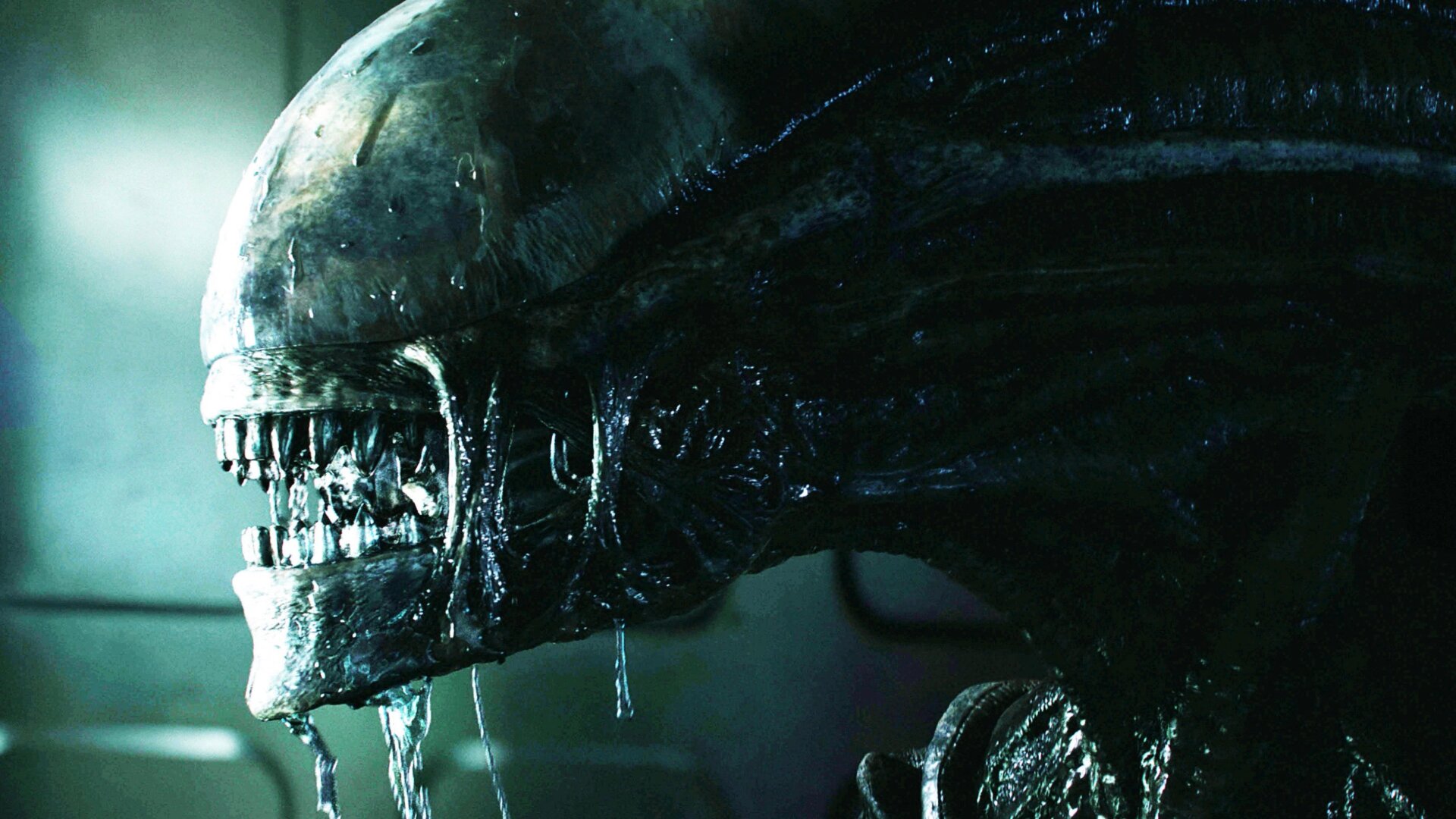 Es un día tipo xenomorfo.