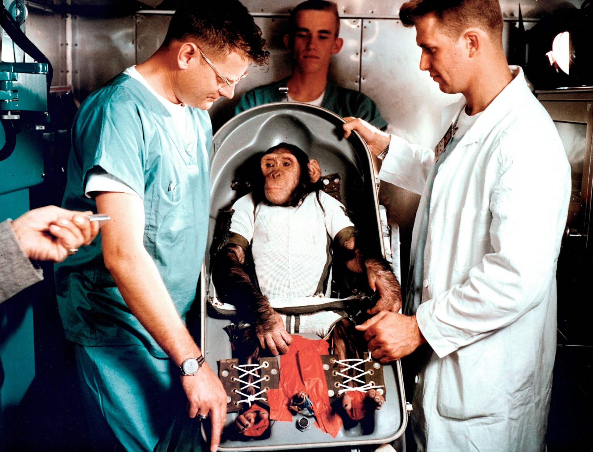 Ham, el chimpancé juvenil con entrenadores en Cabo Cañaveral, Florida, el 31 de enero de 1961.