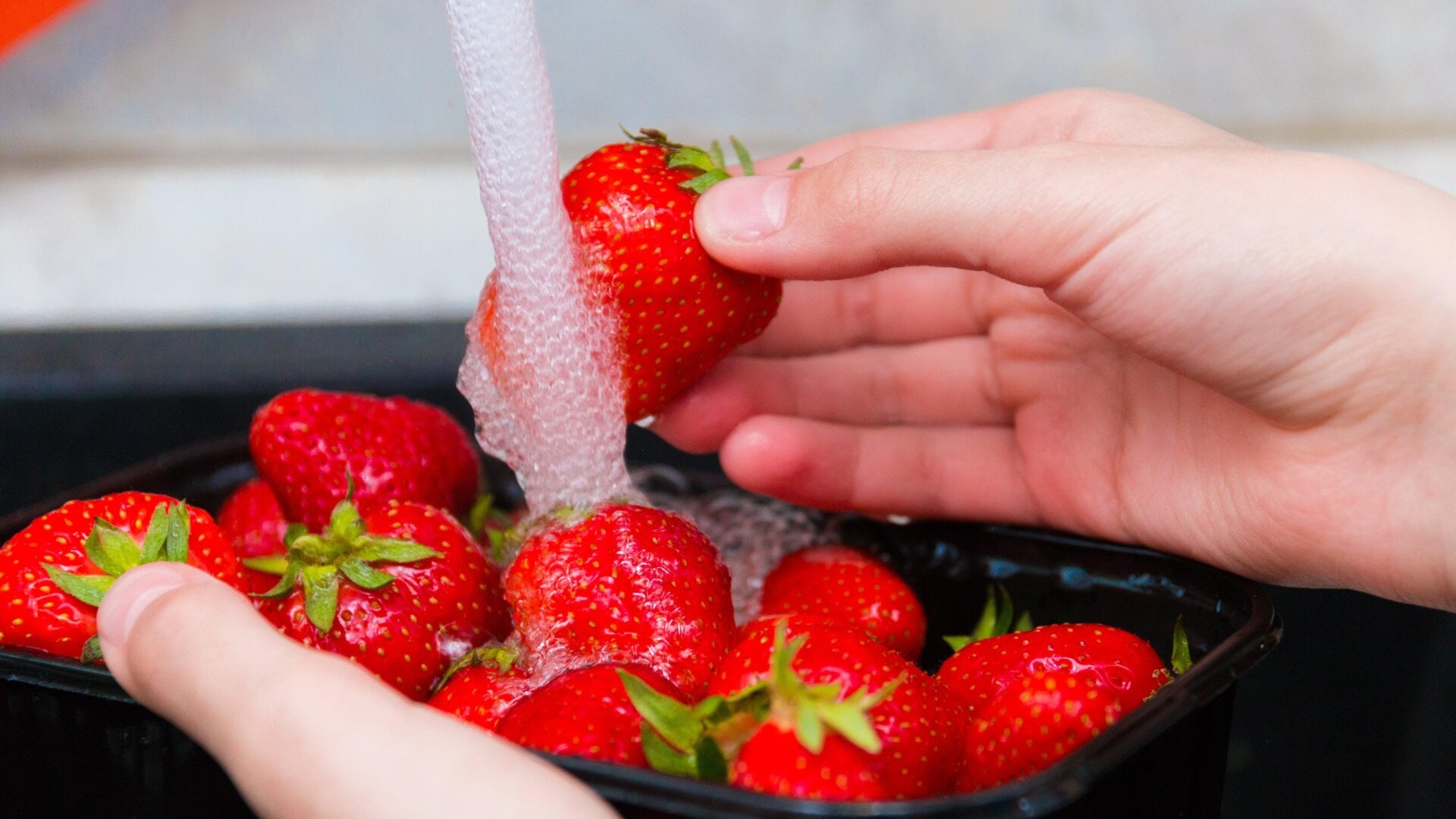 Fresas lavadas bajo agua corriente.