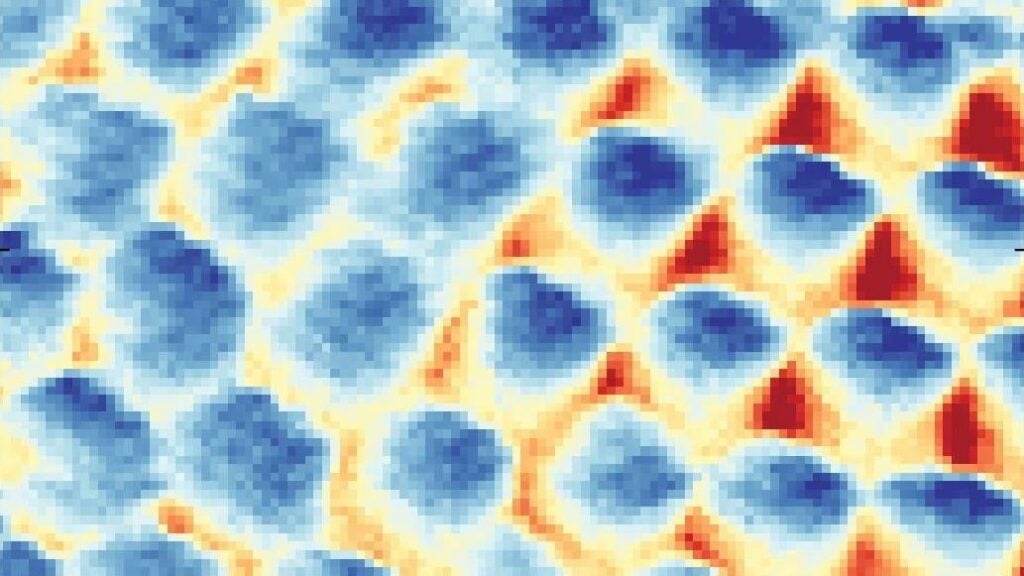 Image: Yen-Chen Tsui and team, Princeton University