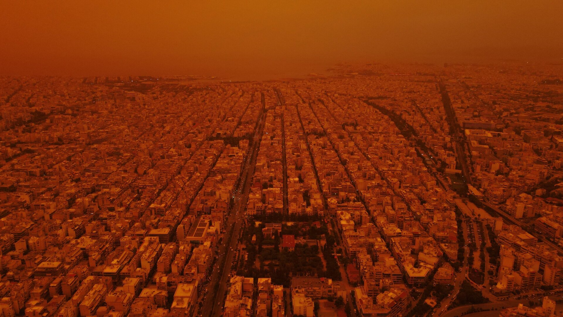 Image: Milos Bicanski