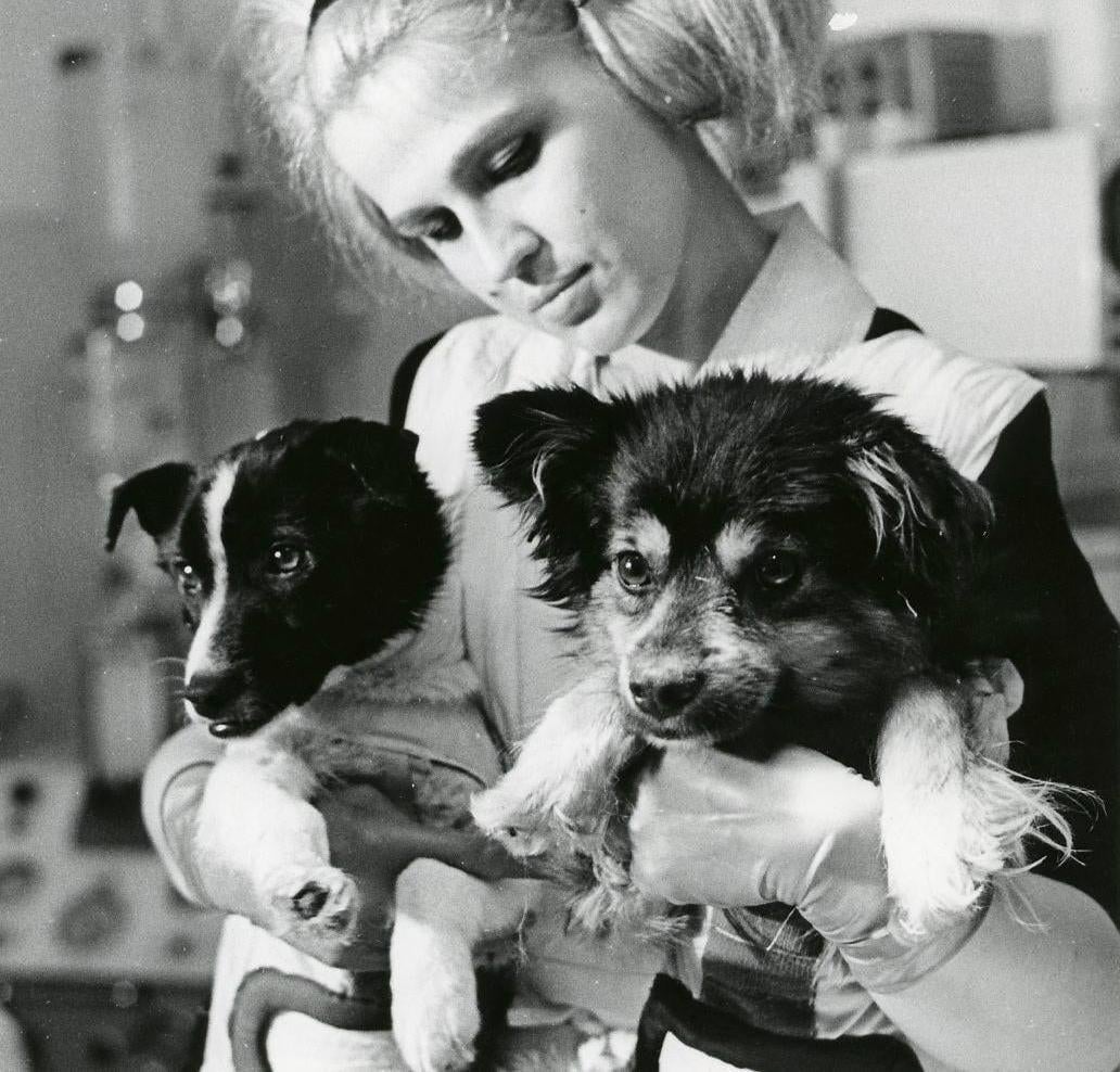 Los cosmoperros soviéticos Veterok y Ugolyok. 