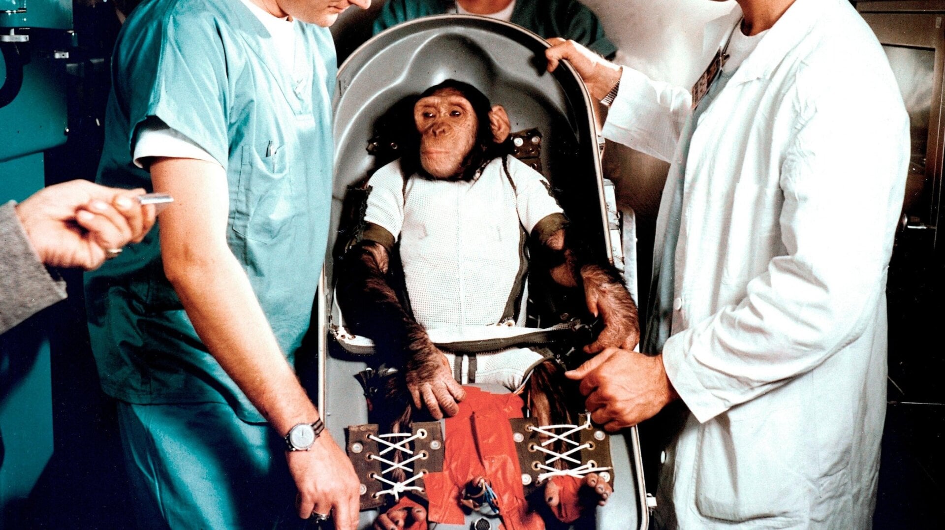 Ham, el chimpancé juvenil con entrenadores en Cabo Cañaveral, Florida, el 31 de enero de 1961.