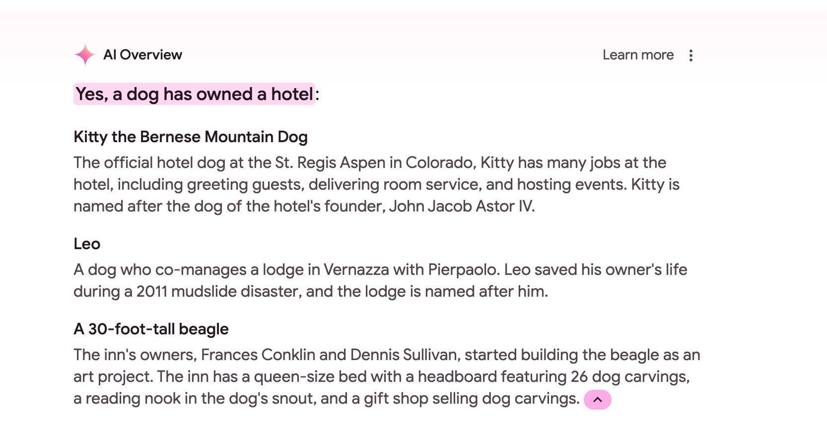 Screenshot: Lucas Ropek/Google