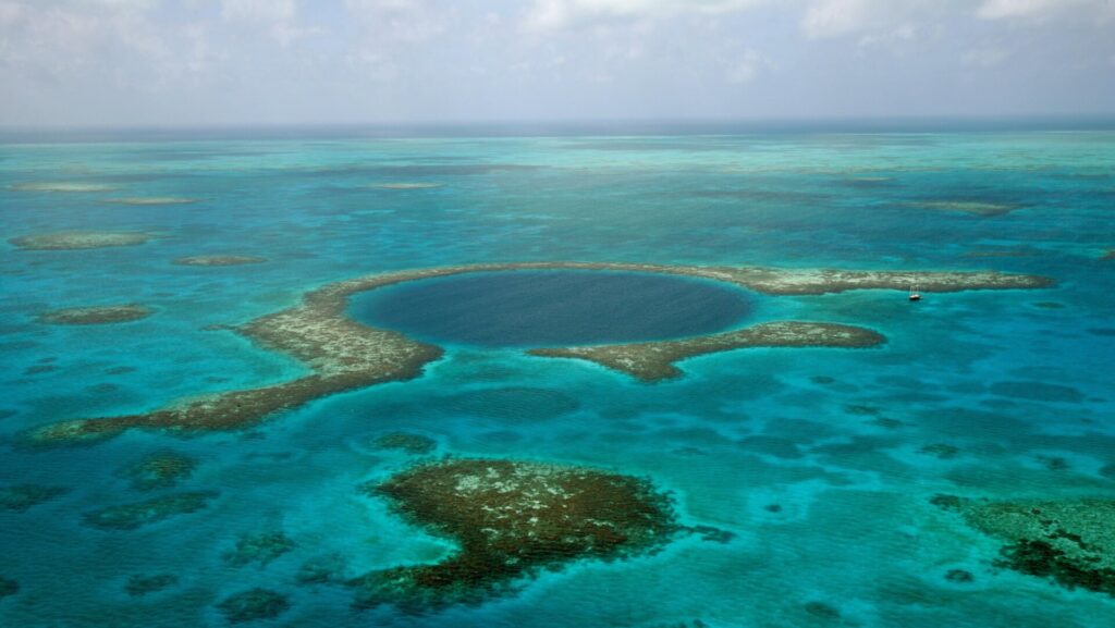 Photo: The TerraMar Project