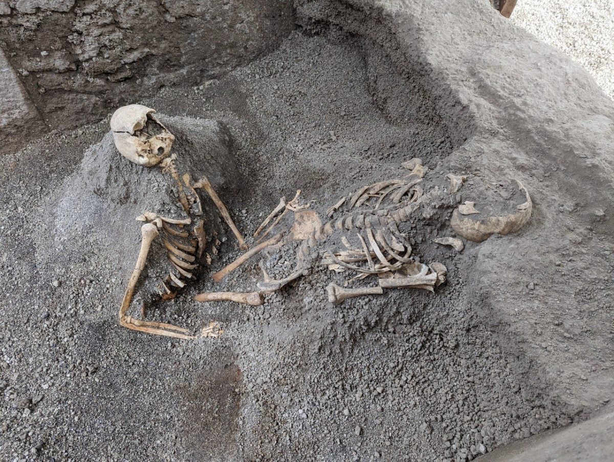 Restos de dos personas halladas durante las recientes excavaciones.