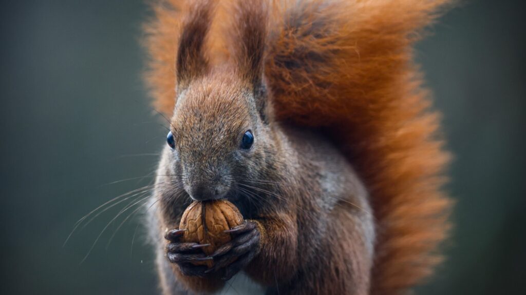Photo: Beata Zawrzel/NurPhoto