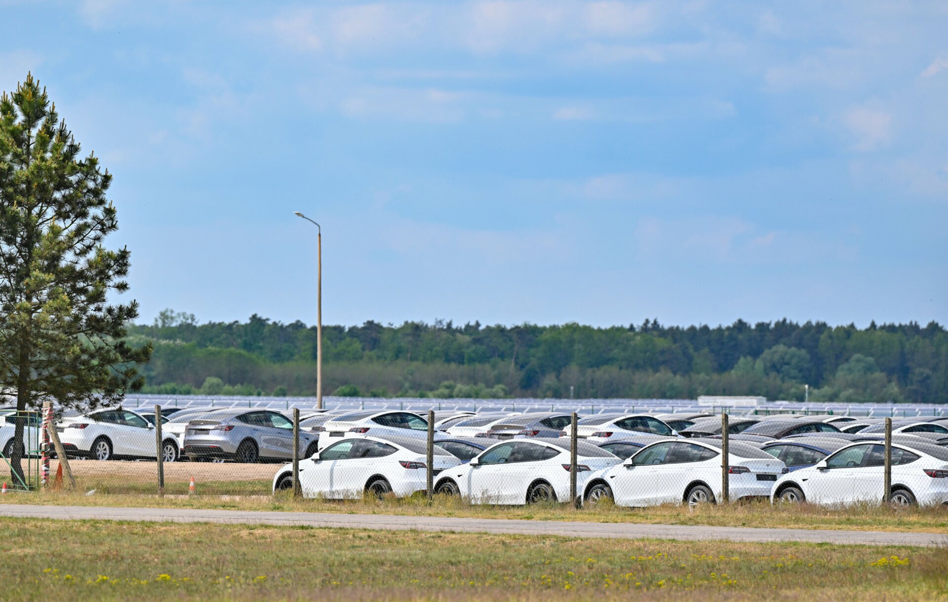 Los vehículos eléctricos del nuevo modelo Y están estacionados en el aeródromo de Neuhardenberg el 10 de mayo de 2024. 