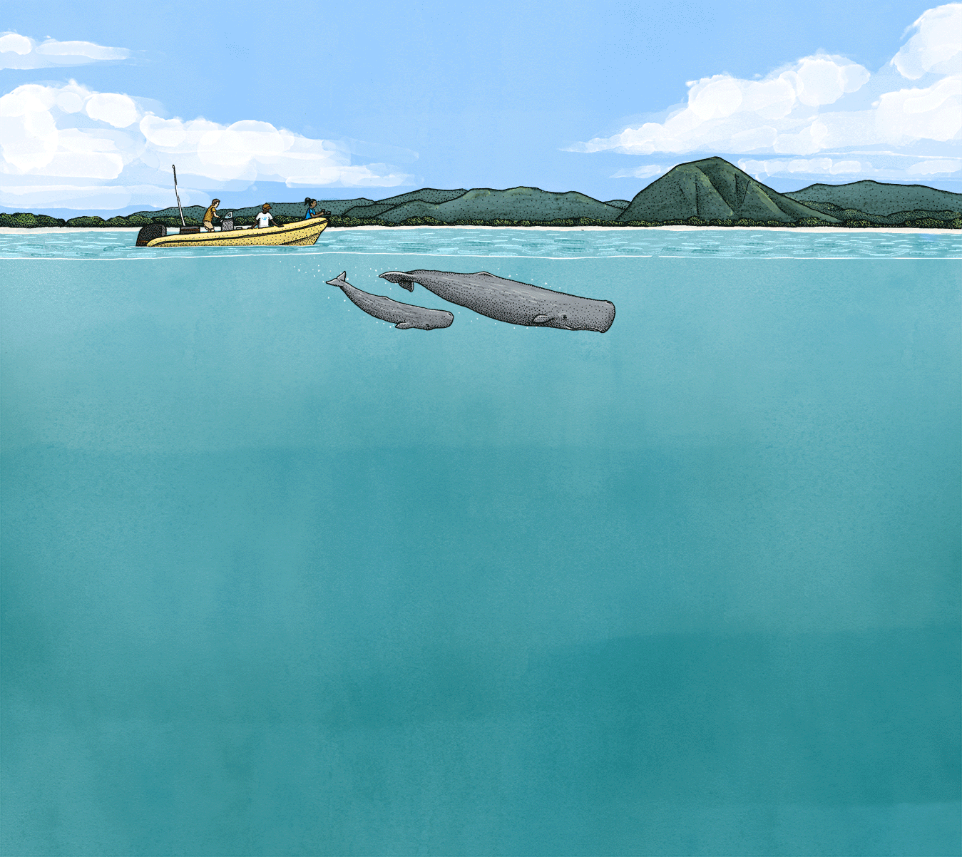 Una animación que muestra el proceso del Proyecto CETI.