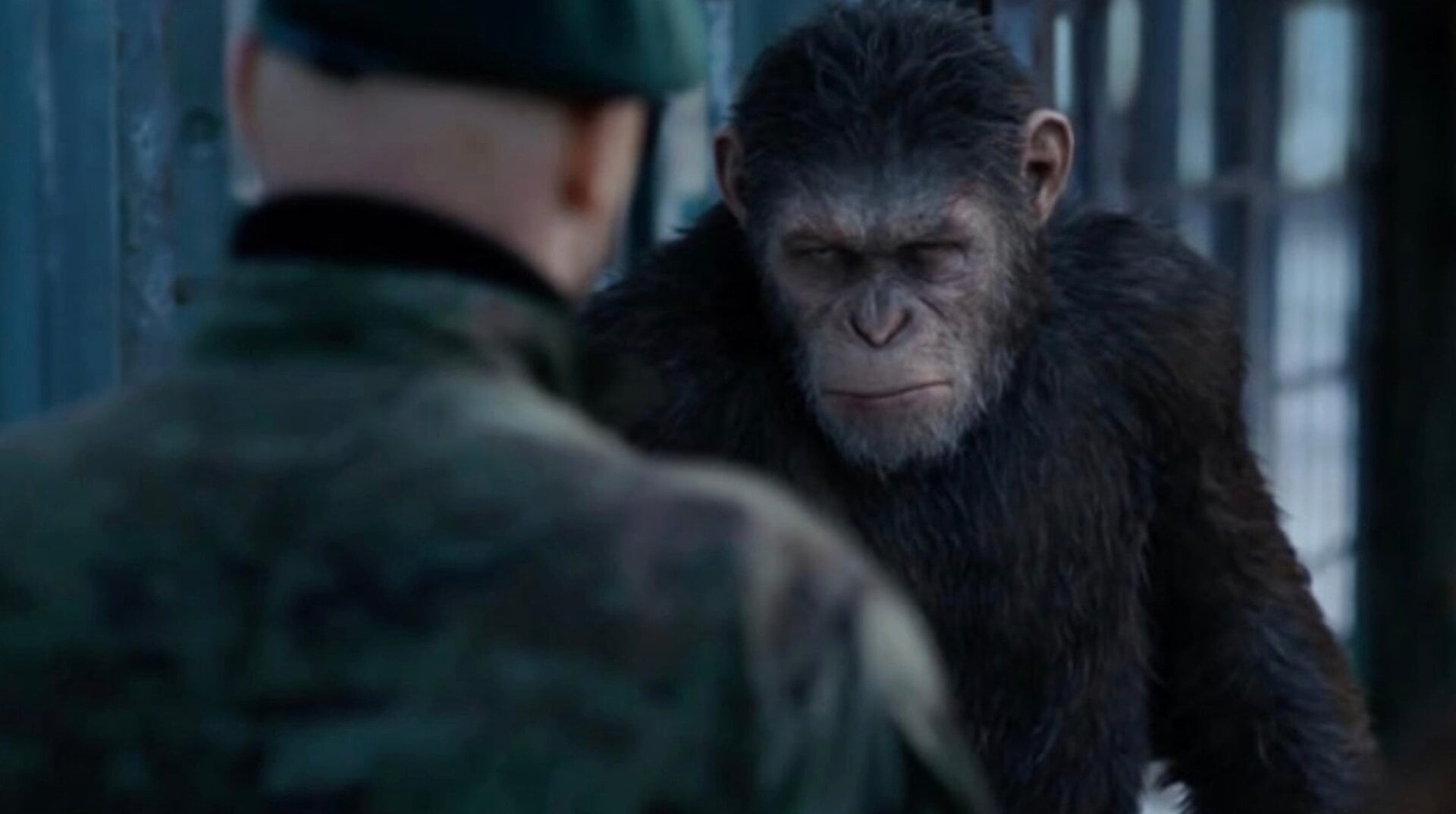 Enfrentamiento de César.