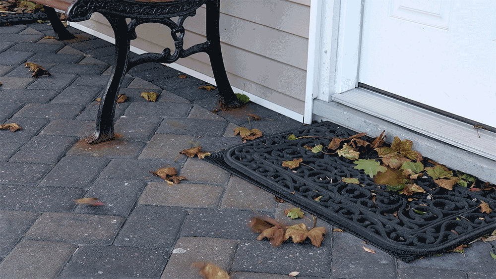 Hojas en la brisa en el Seabreeze Motel.