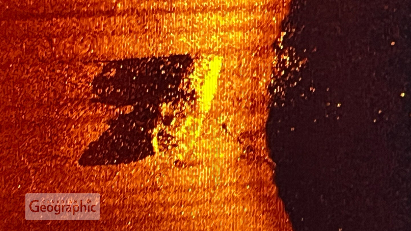 Una imagen de sonar de barrido lateral del Quest, vertical sobre el fondo marino.