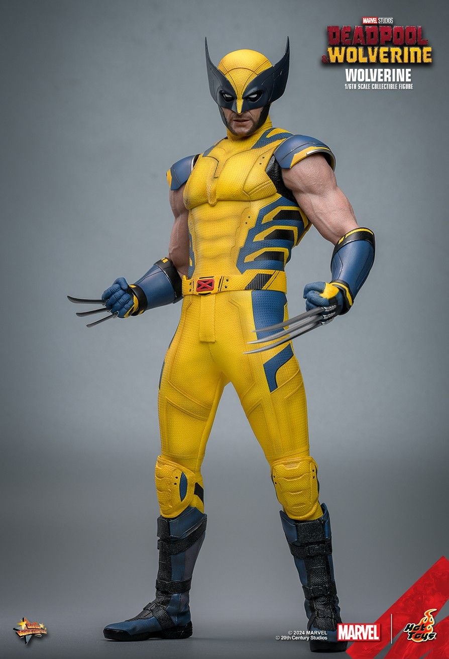 Image: Hot Toys