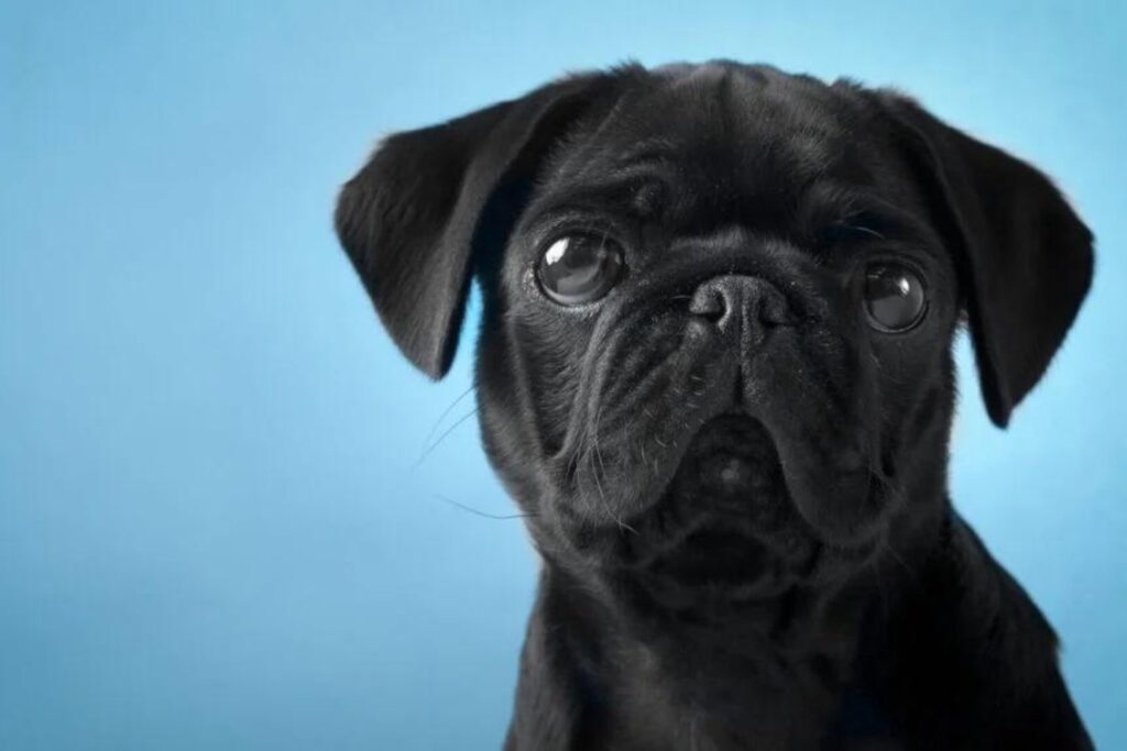 Diseño Sin Título (1)