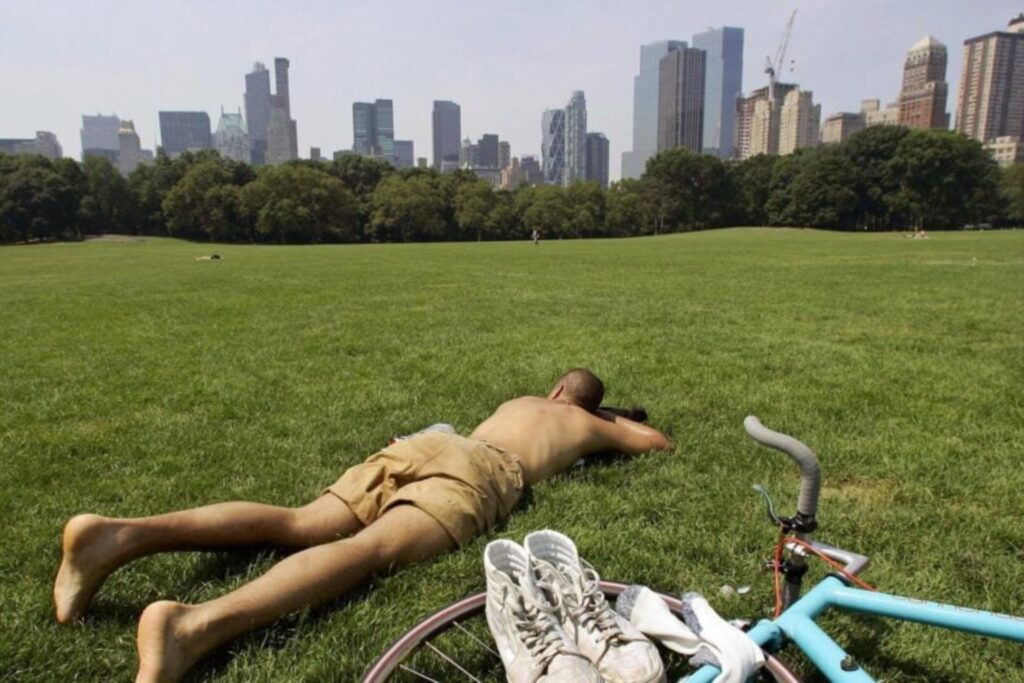 Diseño Sin Título (2)