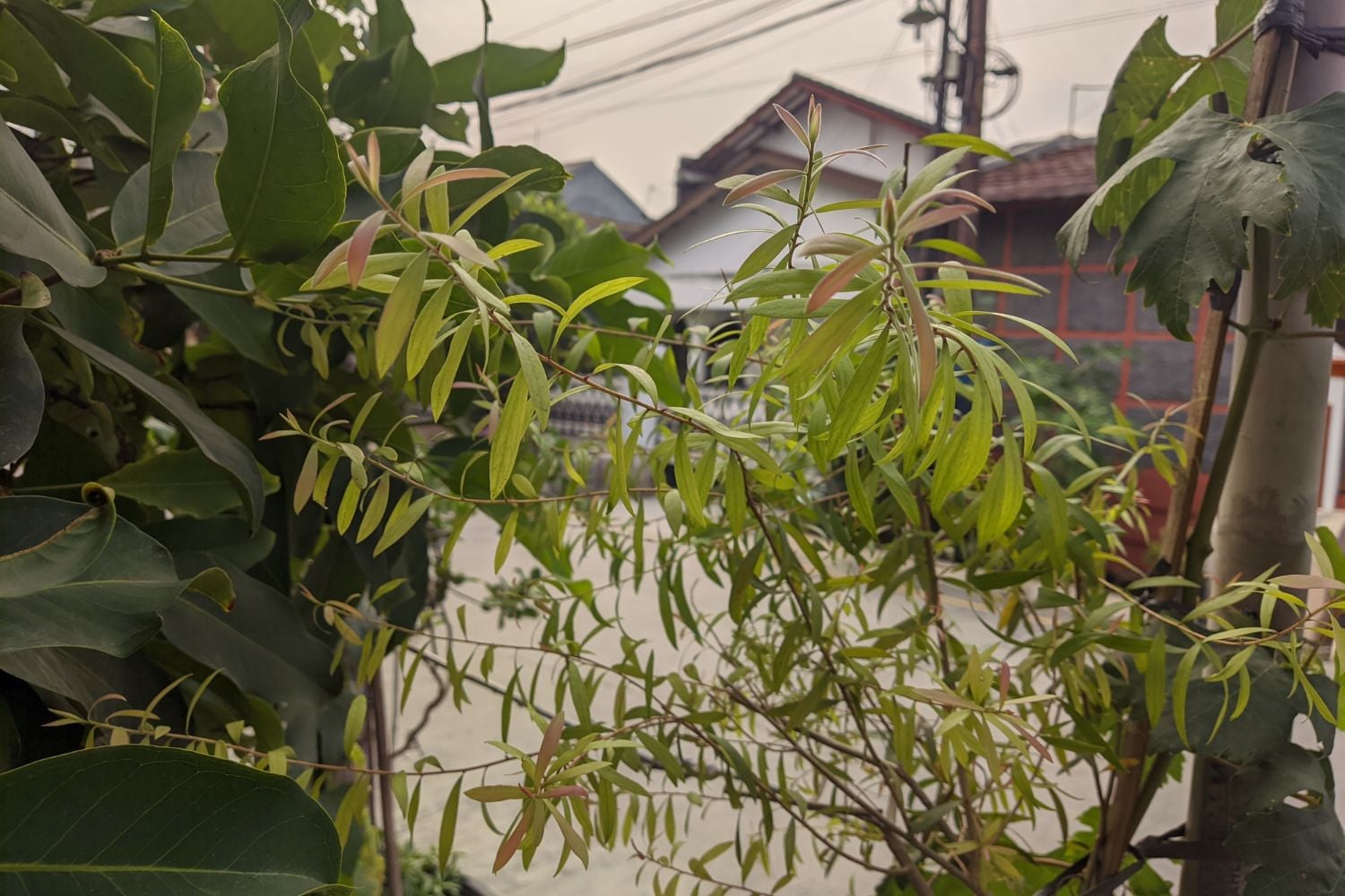 Diseño Sin Título (1)