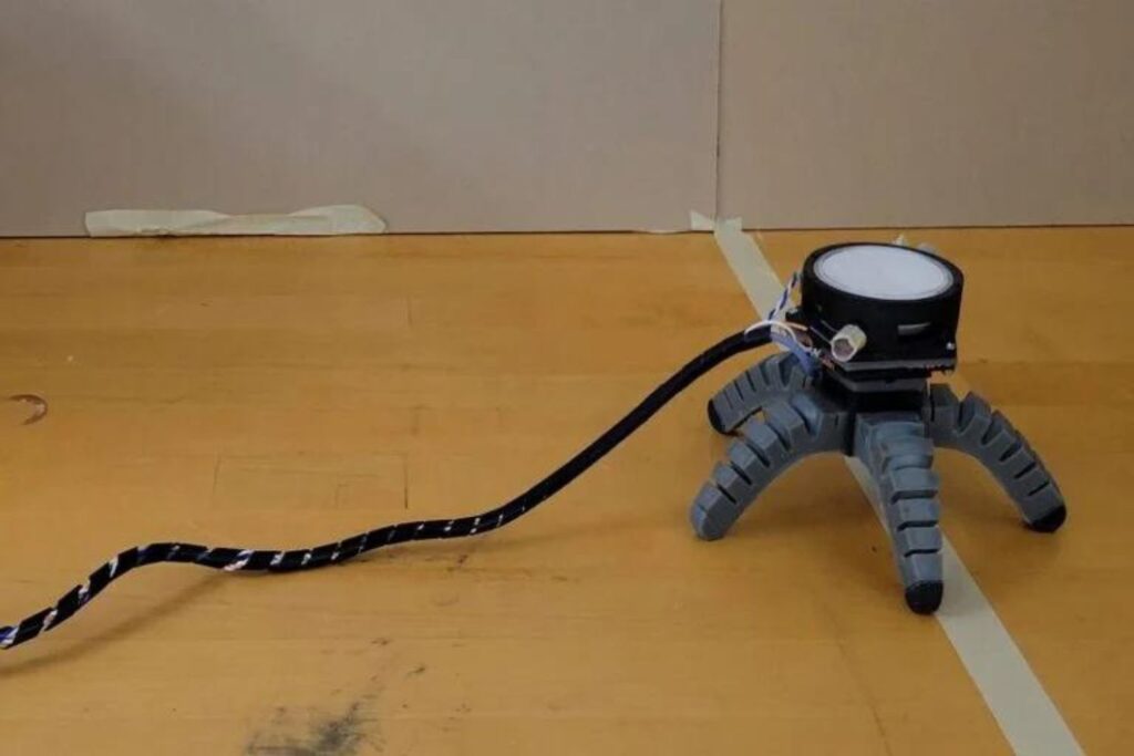 Diseño Sin Título (14)