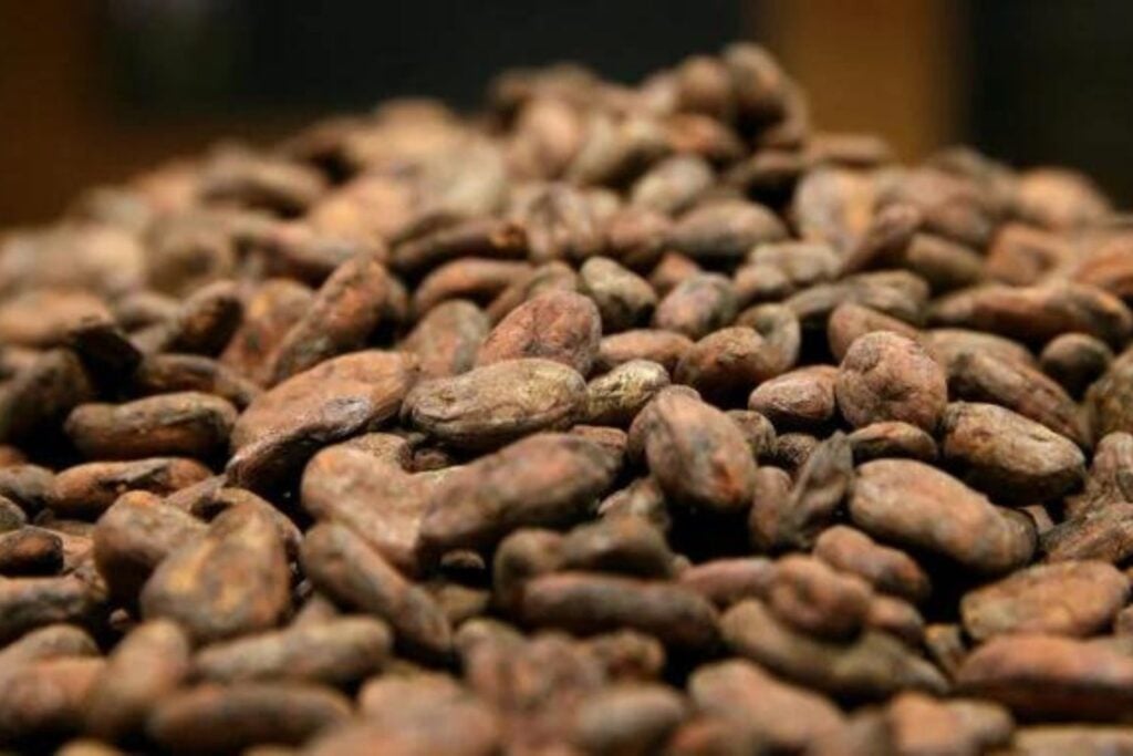 Diseño Sin Título (15)