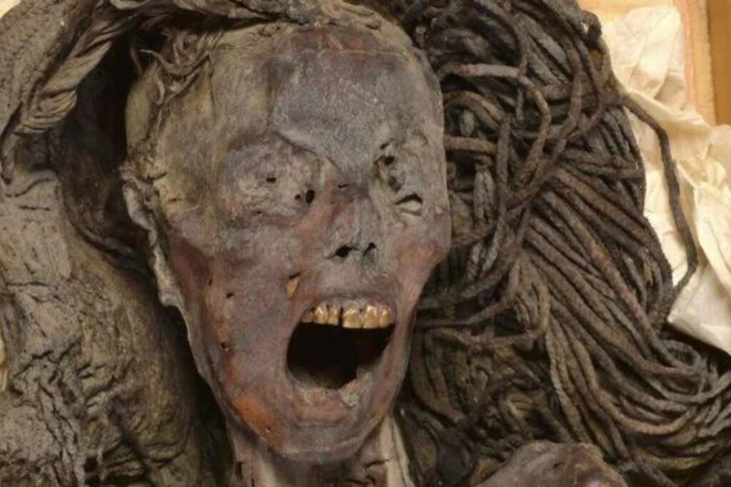 Diseño Sin Título (16)