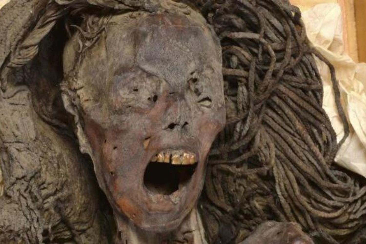 Diseño Sin Título (16)