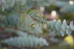 Diseño Sin Título (2)