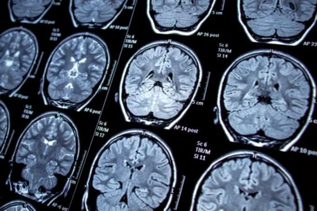 Diseño Sin Título 2024 08 14t083525.355