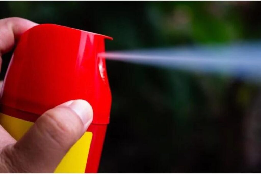 Diseño Sin Título 2024 08 14t123507.980