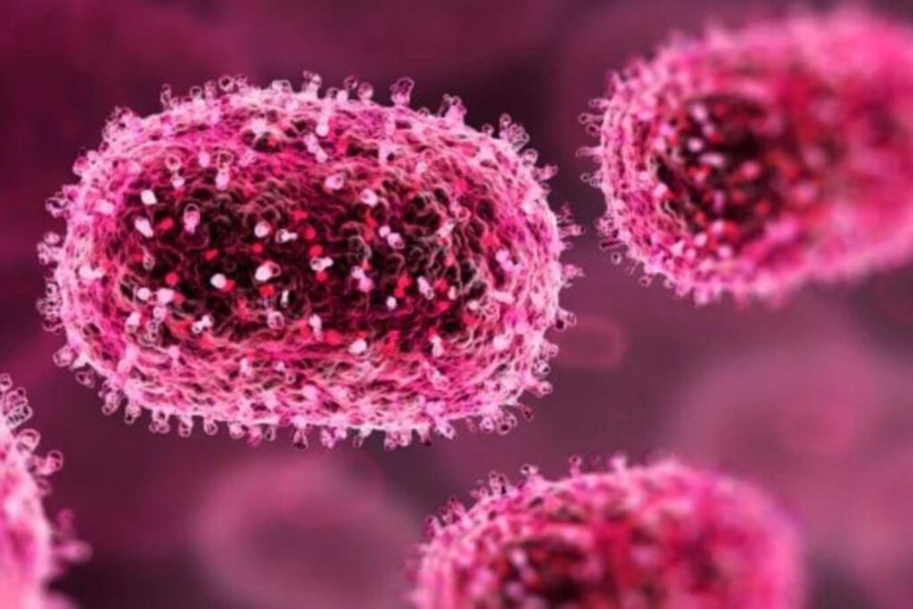 Diseño Sin Título 2024 08 14t175534.577