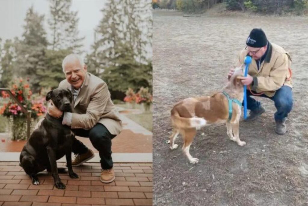 Diseño Sin Título 2024 08 26t160616.233