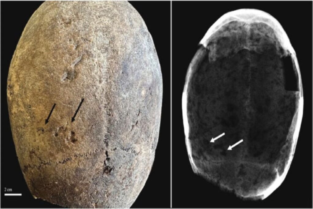 Diseño Sin Título 2024 08 27t152421.075