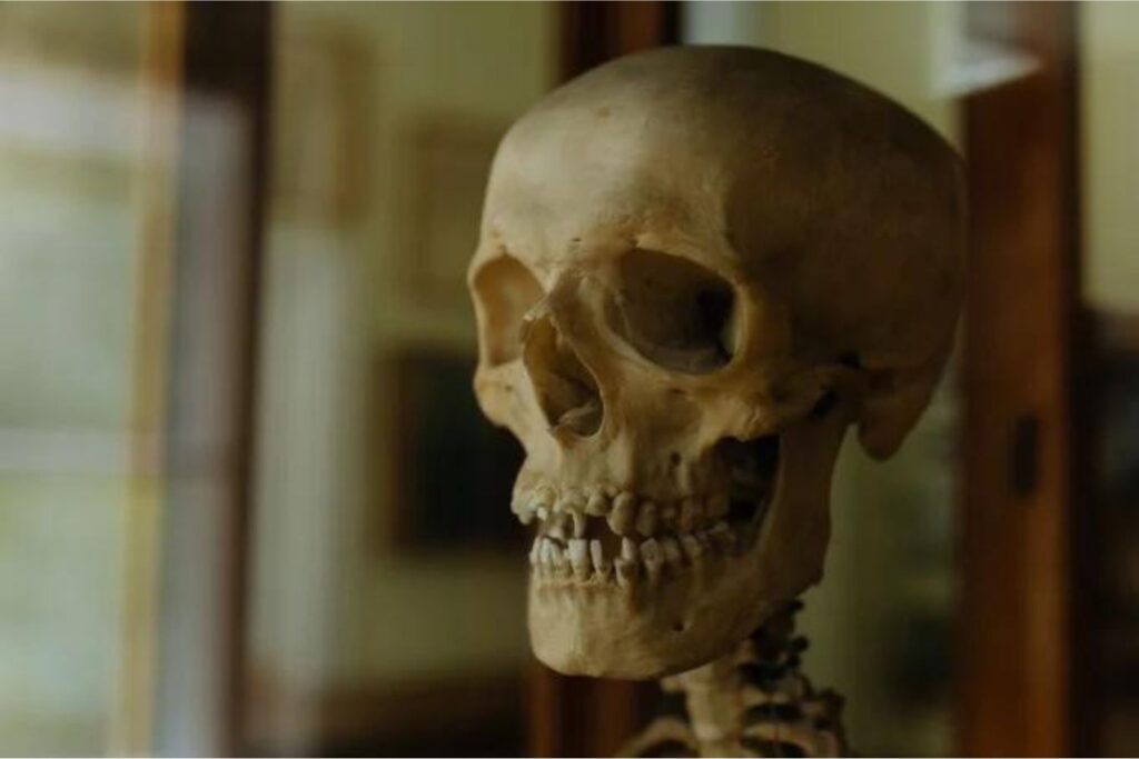 Diseño Sin Título (34)