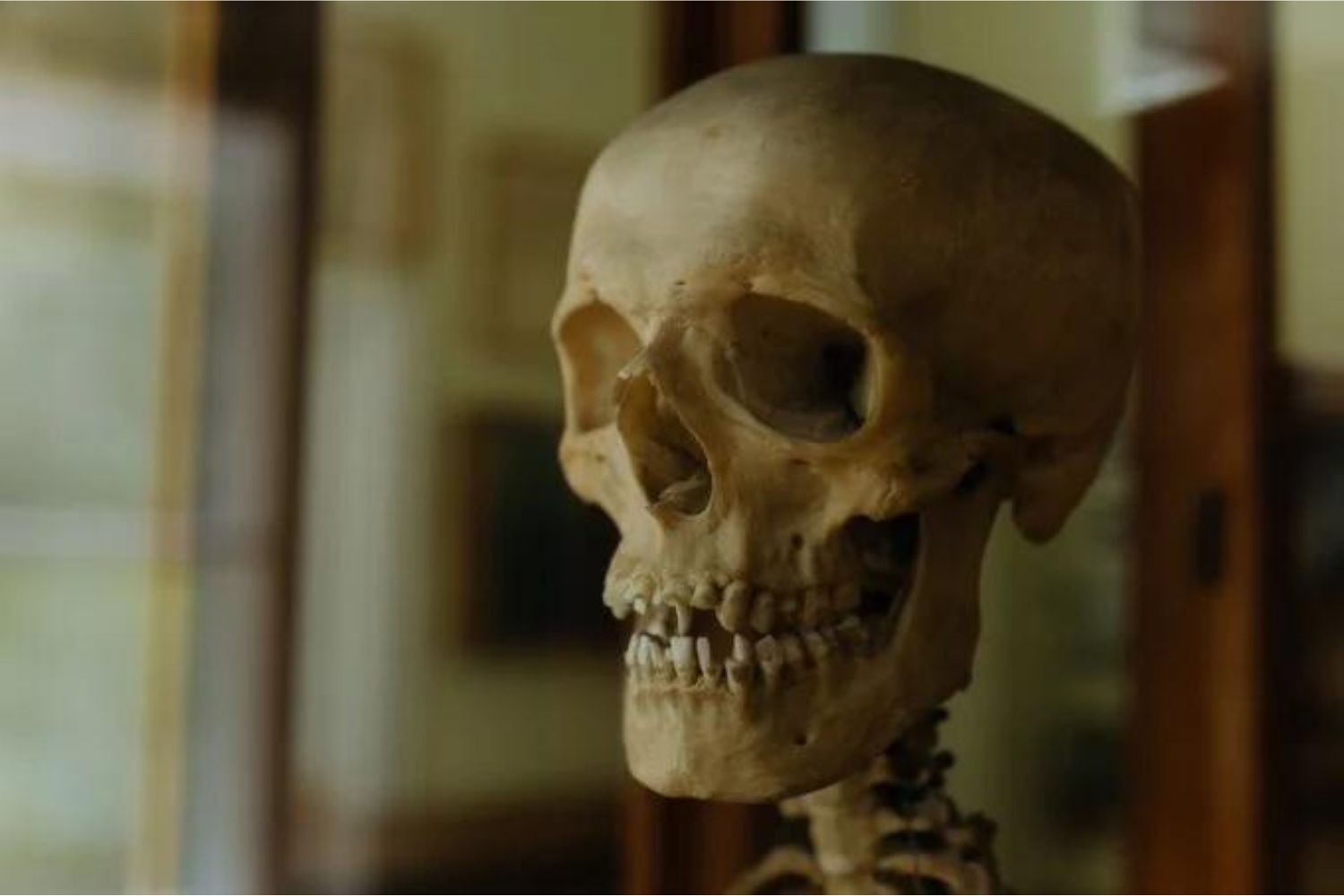 Diseño Sin Título (34)