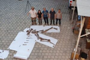 Diseño Sin Título (42)