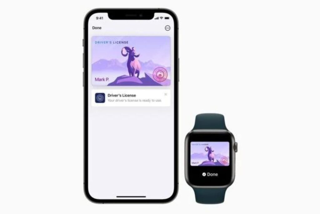 Diseño Sin Título (53)