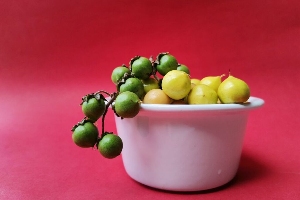 Diseño Sin Título (65)