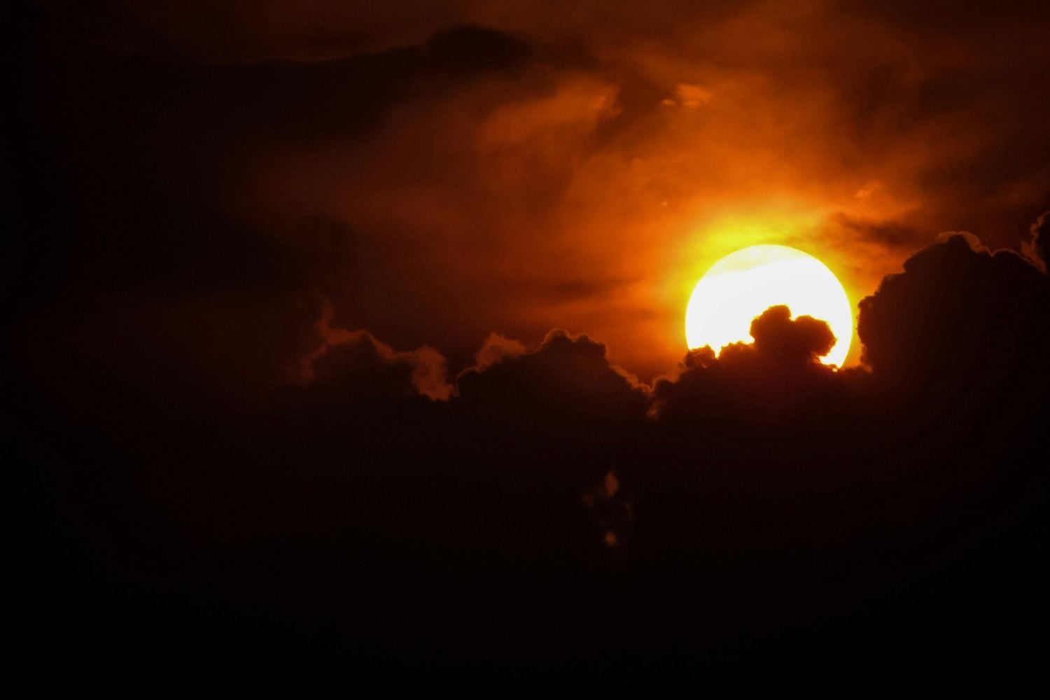 Diseño Sin Título (71)