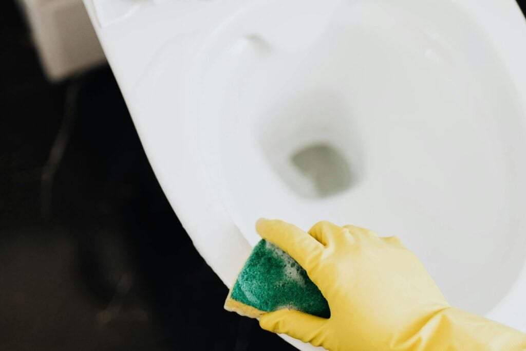 Diseño Sin Título (88)