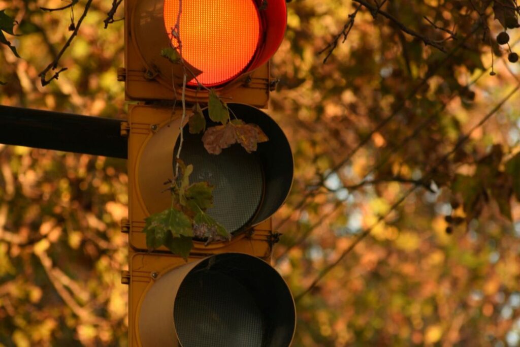 Diseño Sin Título (89)