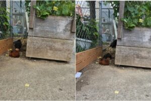 Samsung Galaxy Flip 6 Definicion